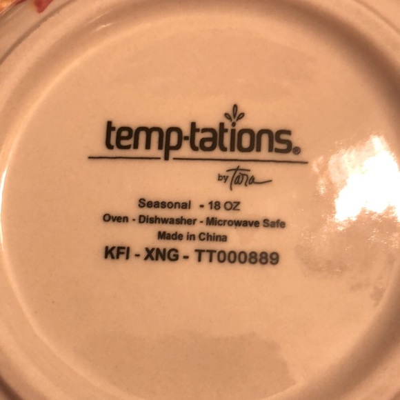 Temptations Four Piece Dinnerware - Picture 3 of 7